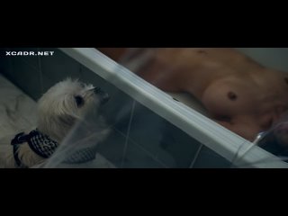 movie scene compilations - naked pussy in movies