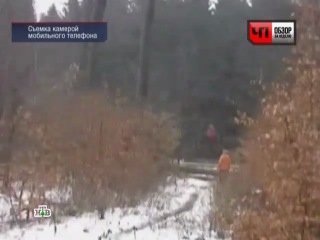 flying girl in the forest